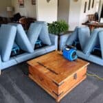 Two sofas undergoing upholstery cleaning with air dryers used for efficient drying.