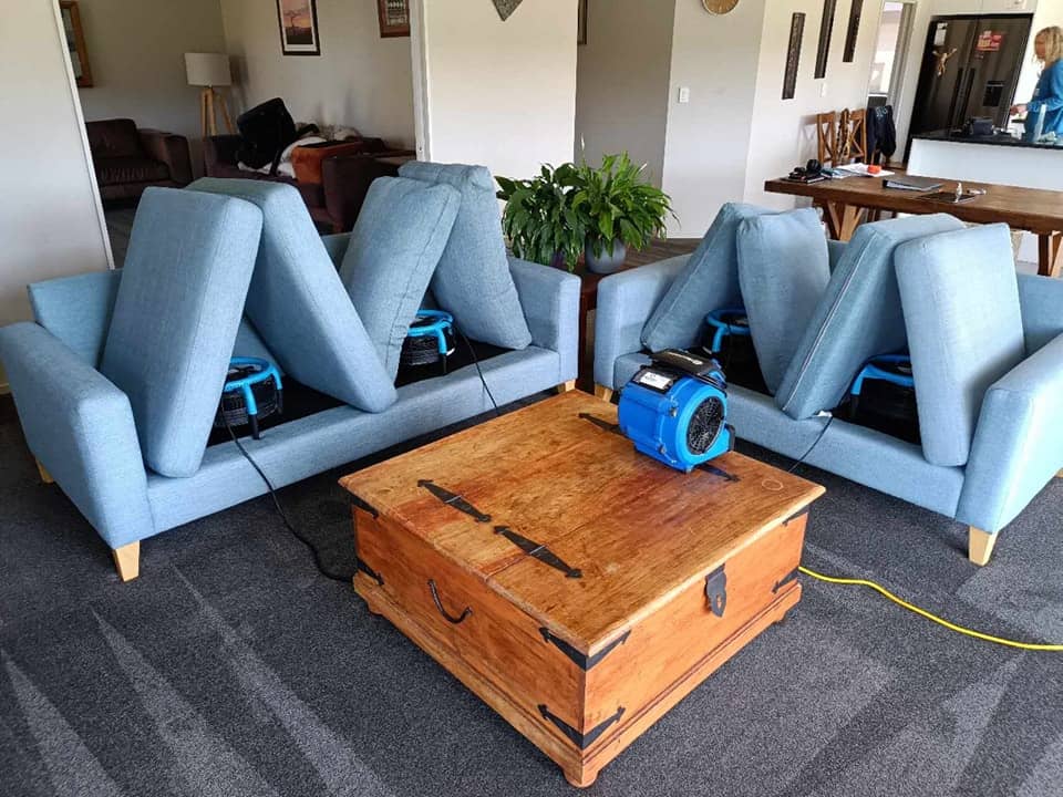 Upholstery cleaning in progress on two blue sofas with professional drying equipment