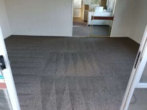 Professionally cleaned carpet in a commercial space with visible clean lines and a fresh appearance.