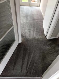 Carpet cleaning in progress with visible cleaning patterns in a hallway, showing before and after results.