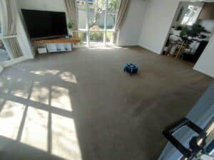 Professionally cleaned living room carpet by Triple Star Commercial Cleaning in Christchurch and Auckland.