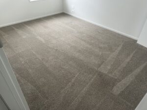 Carpet freshly cleaned in a bedroom, showing clear cleaning patterns and improved appearance.