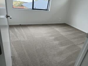 Benefits of Professional Carpet Cleaning