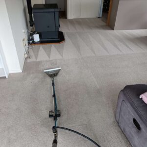 Professional carpet cleaning in action, showing the use of commercial equipment.