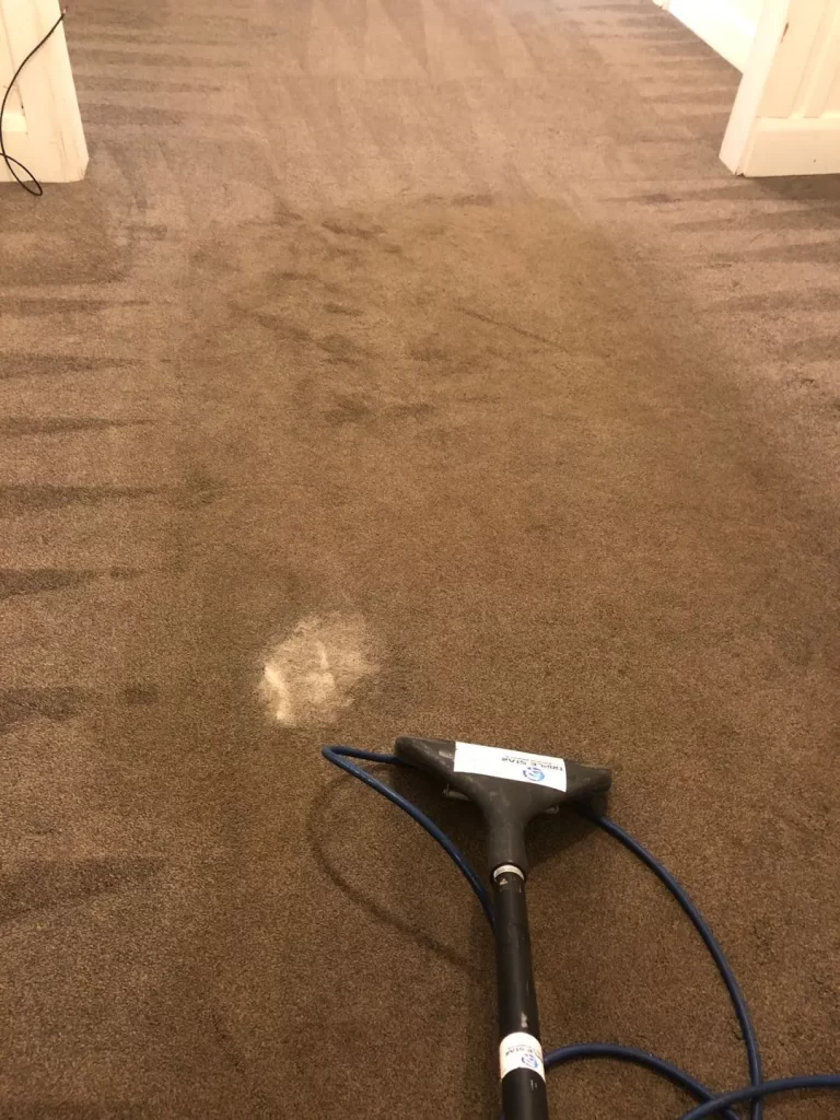 Professional carpet cleaning with an industrial extraction machine on a stained carpet in a residential or commercial space.