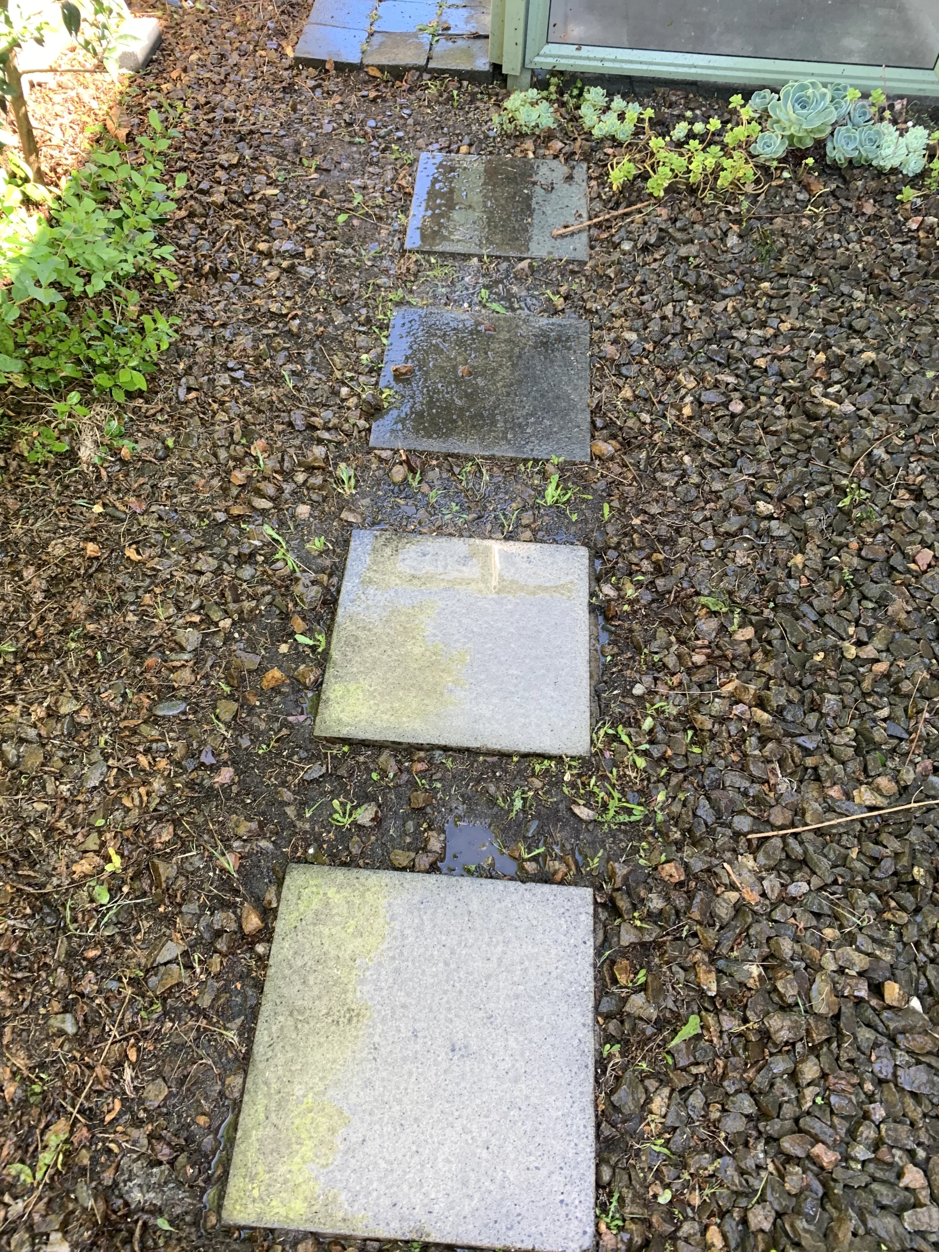 Outdoor stone pathway showing visible dirt and moss buildup, partially cleaned through professional pressure washing services.