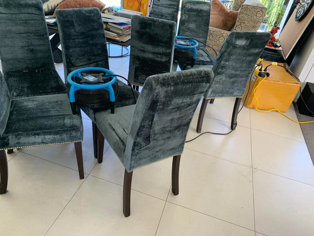 Professional upholstery cleaning for dining chairs using advanced cleaning equipment.