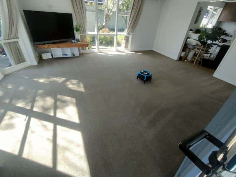 Freshly cleaned carpet in a bright living room after professional carpet cleaning by Triple Star Commercial Cleaning in Auckland and Christchurch.